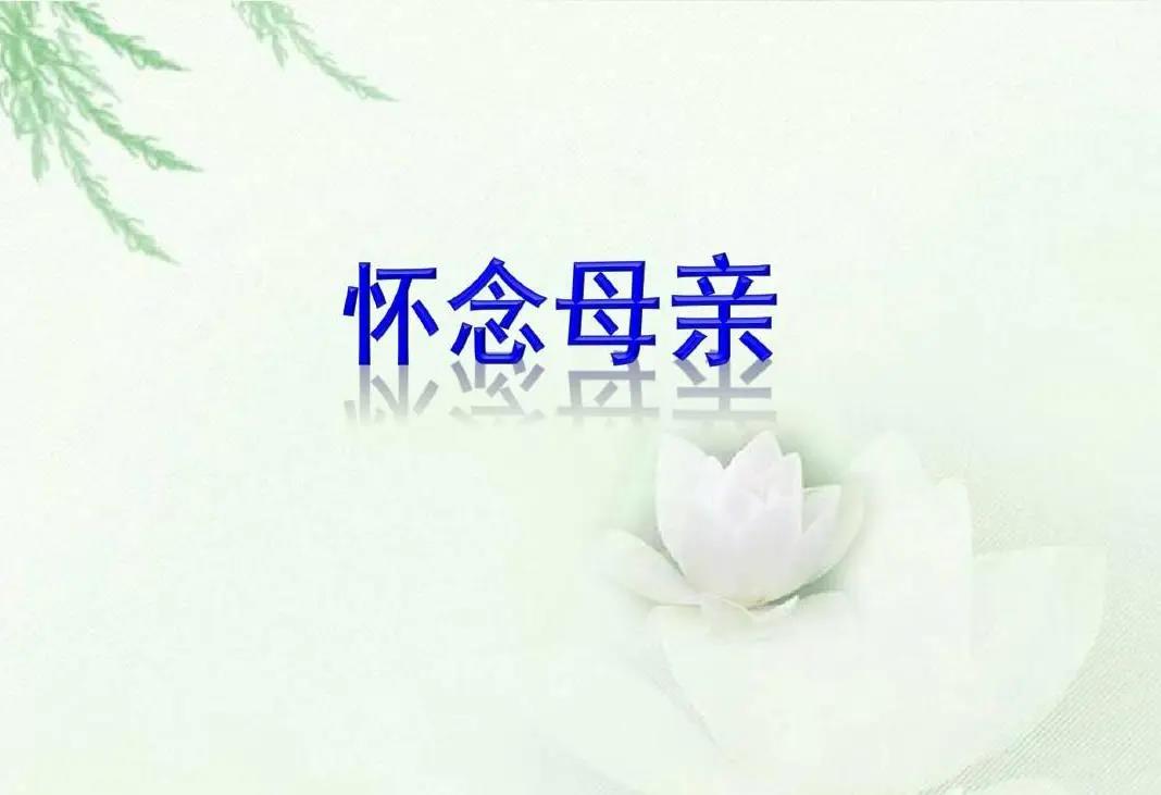 微信图片_20200605085322.jpg