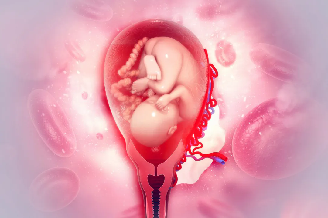 1740535992338563.png 640.png