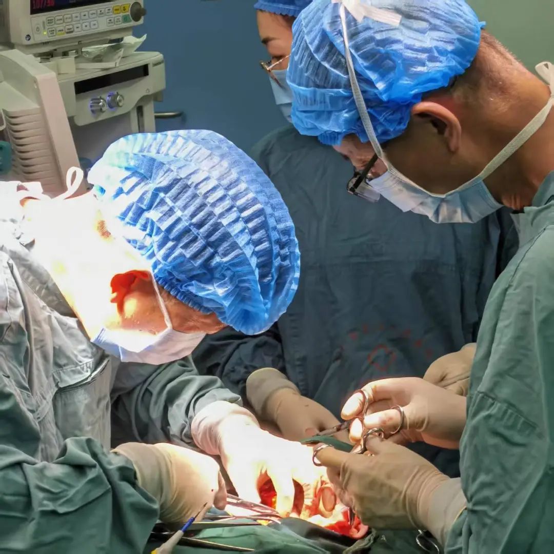 1742346178258036.jpg 640 (1).jpg