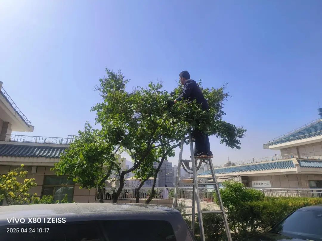 1745805573896109.jpg 640 (3).jpg