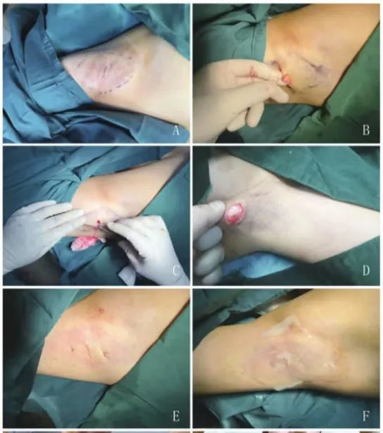 1747106447761744.jpg 微信图片_20250513111822.jpg