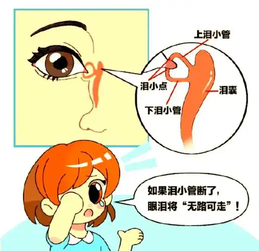 微信图片_20250527090146.png