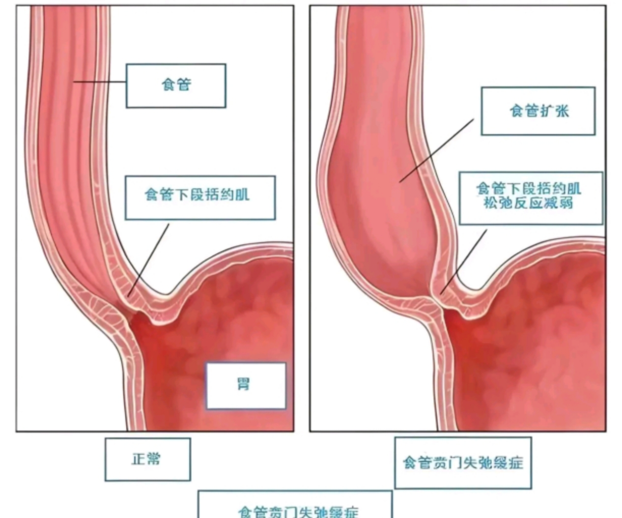 1764300907187305.png 微信图片_2025-11-28_113451_614.png