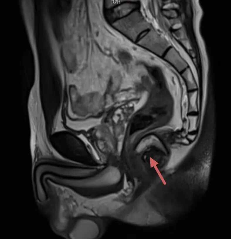 1766714312304300.jpg 微信图片_2025-12-26_095754_830.jpg