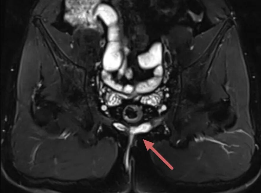 1766714323656124.jpg 微信图片_2025-12-26_095759_797.jpg