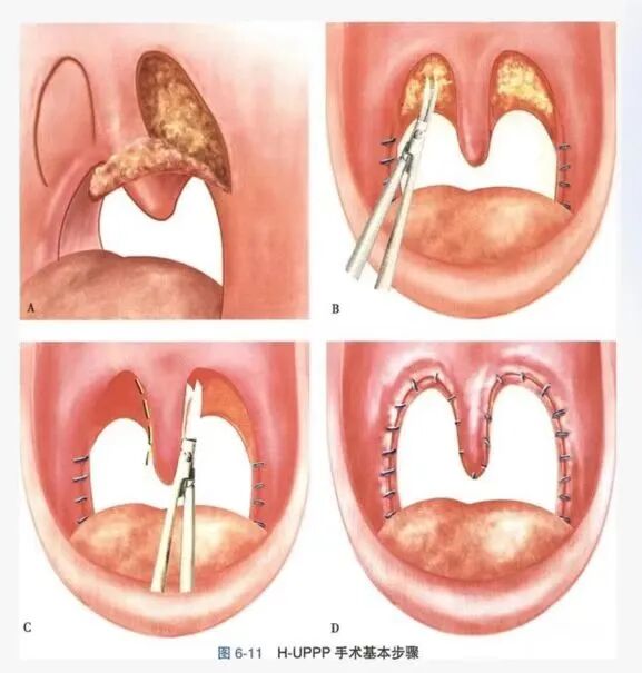 1770365787727360.jpg 微信图片_2026-02-06_161605_845.jpg