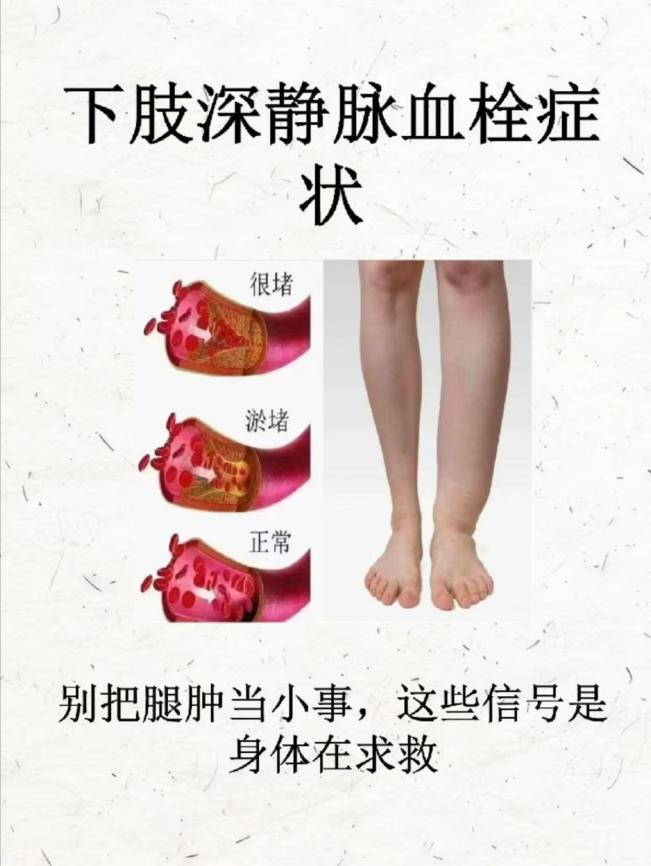 1773879755122201.png 640 (1).png