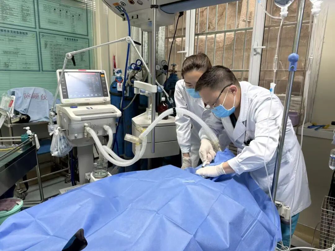 1775520599229829.jpg 640 (1).jpg