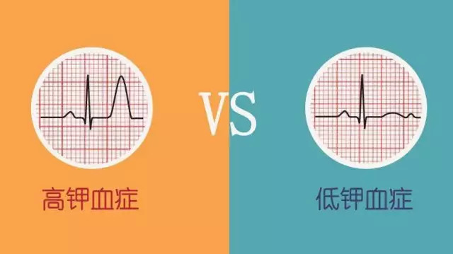 1775520946674066.png 640 (1).png