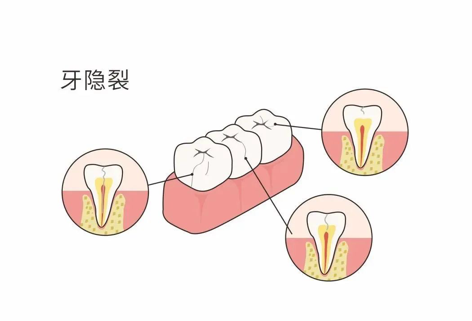 微信图片_2026-10-19_080937_001.png